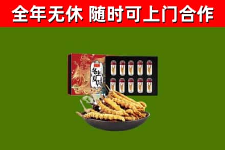 奉贤回收冬虫夏草价格